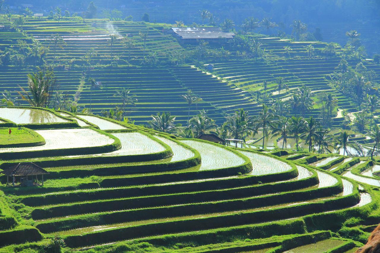 D'Tegale Homestay Cepaka Bagian luar foto